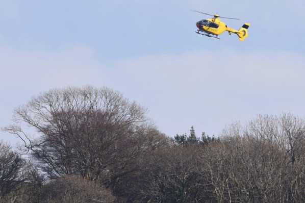 26 March 2020 - 15-51-11 
An occasional visitor, the Electricity company helicopter checking the power lines for faults.  It first came into view after travelling down Weeke Hill valley and over Gallants Bower.
------------Electricity helicopter G-WPDD over Dartmouth